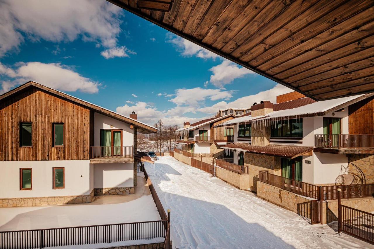 Villa In Crystal Bakuriani Zewnętrze zdjęcie
